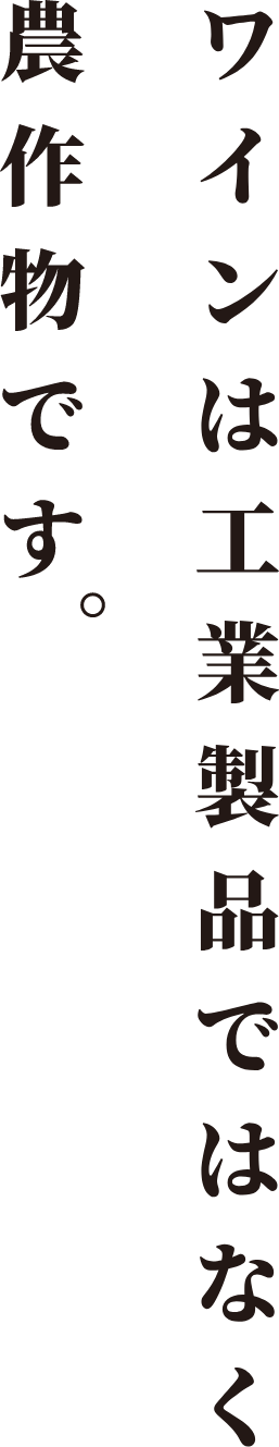 ワインは工業製品ではなく農業製品です。 Wine is an agricultural product, not an industrial product.