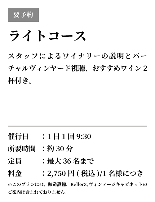 ライトコース