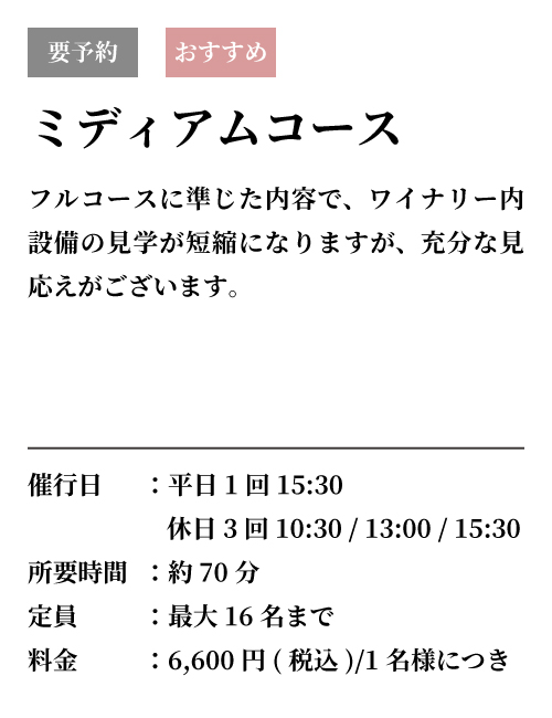 ミディアムコース