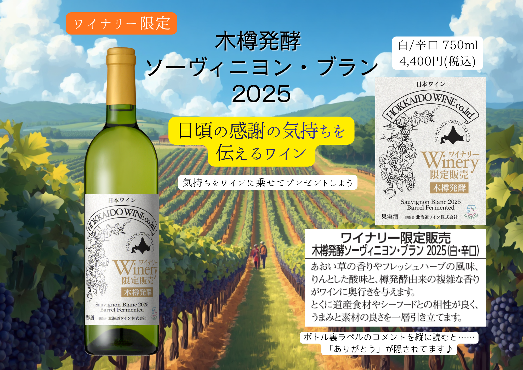 ギャラリー限定ワイン新発売情報